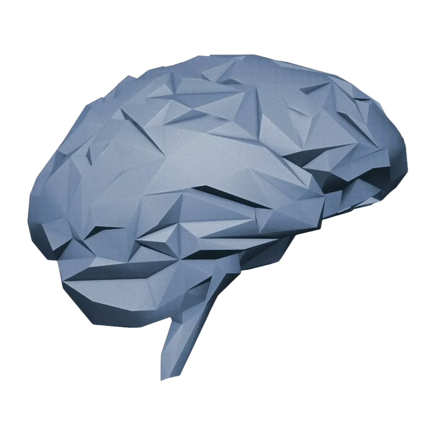 Low-poly render of a human brain