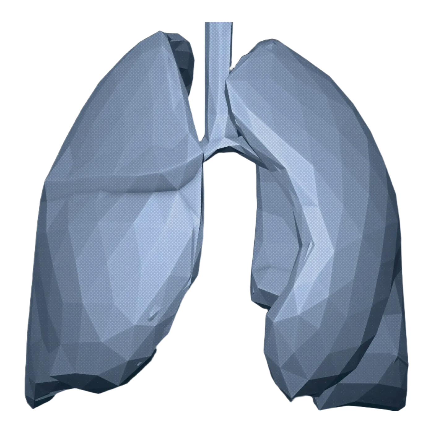 Low-poly render of a pair of human lungs