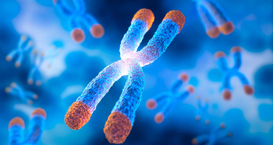 Cellular Rejuvenation